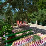 Escape From Center Apartment Makarska