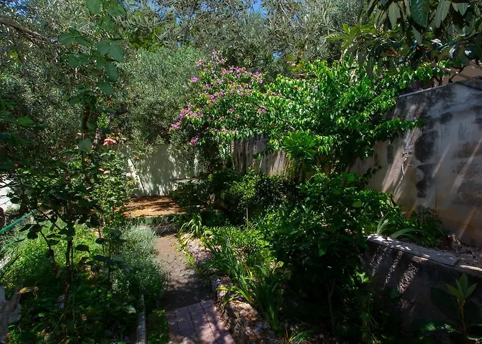 Escape From Center Apartment Makarska